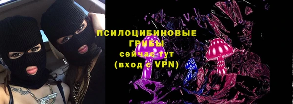 a pvp Горняк
